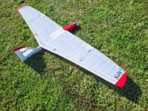 Video: Saly² von Wolfgang Werling