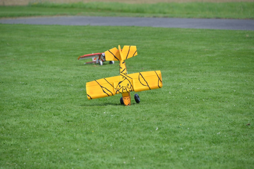 Dank dem Superboard sind die Buschtrottel praktisch unverwüstlich. Da kann auch die ein oder andere unsanfte „Landung“ verkraftet werden.